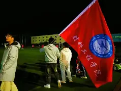 顶级球员演绎激情足球，赛场风云再现(足球顶级后卫的球员)