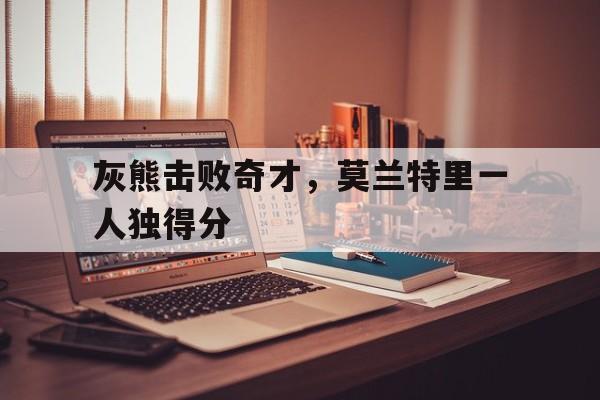九州官方网站-灰熊击败奇才，莫兰特里一人独得分(灰熊 莫兰特)
