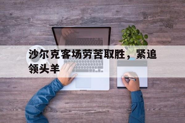 九州娱乐官网-关于沙尔克客场劳苦取胜，紧追领头羊的信息